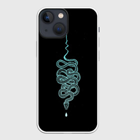 Чехол для iPhone 13 mini с принтом вьющаяся змея в Санкт-Петербурге,  |  | animal | blue | curly | dangerous | deadly | ghostly | phobia | reptile | snake | вьющаяся | голубая | животное | змея | опаснавя | призрачная | фобия