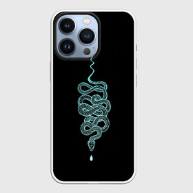 Чехол для iPhone 13 Pro с принтом вьющаяся змея в Санкт-Петербурге,  |  | animal | blue | curly | dangerous | deadly | ghostly | phobia | reptile | snake | вьющаяся | голубая | животное | змея | опаснавя | призрачная | фобия