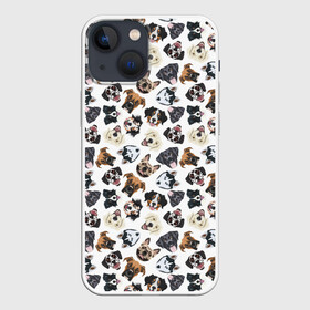 Чехол для iPhone 13 mini с принтом Разные Породы Собак в Санкт-Петербурге,  |  | animal | dog | барбос | бобик | год собаки | друг человека | животное | зверь | ищейка | кинолог | кость | лайка | лапы | пес | собака | собачка | хищник | четвероногий | шарик | щенок