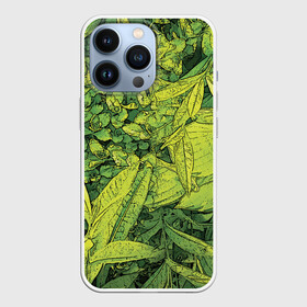 Чехол для iPhone 13 Pro с принтом Растительная жизнь   Хоста в Санкт-Петербурге,  |  | весенний | зеленый | листья | растения | салатовый | свежий | хоста | цветы