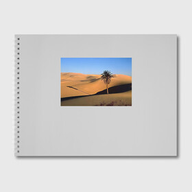 Альбом для рисования с принтом Пустыня в Санкт-Петербурге, 100% бумага
 | матовая бумага, плотность 200 мг. | Тематика изображения на принте: пустынякрасивая пустыняприродапейзаж