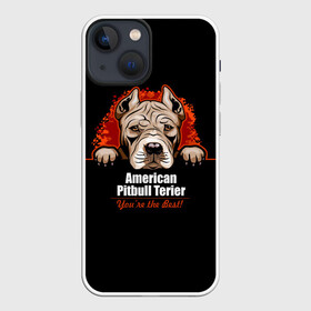Чехол для iPhone 13 mini с принтом Американский Питбультерьер (Pit Bull) в Санкт-Петербурге,  |  | american pit bull terrier | boxer | bulldog | fighting dog | pit bull | американский питбультерьер | бойцовская собака | бойцовский пес | боксер | бульдог | волкодав | друг человека | кинолог | пес | питбуль | питбультерьер