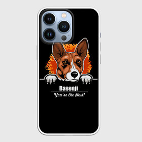 Чехол для iPhone 13 Pro с принтом Басенджи (Basenji) в Санкт-Петербурге,  |  | Тематика изображения на принте: african dog | animal | basenji | congo terrier | dog | африканская собака | басенджи | год собаки | друг человека | животное | зверь | кинолог | конго терьер | пёс | собака басенджи | собаковод | четвероногий