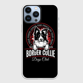 Чехол для iPhone 13 Pro Max с принтом Бордер Колли (Border Collie) в Санкт-Петербурге,  |  | animal | border collie | dog | бордер колли | год собаки | друг человека | животное | зверь | ищейка | кинолог | кость | овчарка | пастушья собака | пёс | порода собак | собака бордер колли | собаковод