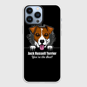 Чехол для iPhone 13 Pro Max с принтом Джек Рассел Терьер (Jack Russell Terrier) в Санкт-Петербурге,  |  | Тематика изображения на принте: animal | dog terrier | jack russell terrier | год собаки | джек рассел терьер | друг человека | животное | зверь | кинолог | охотничья собака | пёс | пёсик | собака джек рассел терьер | собаковод | терьер