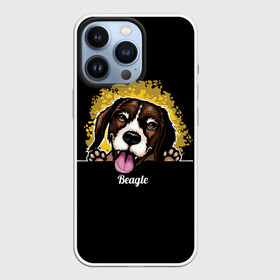 Чехол для iPhone 13 Pro с принтом Бигль (Beagle) в Санкт-Петербурге,  |  | animal | beagle | dog | hunting dog | бигль | год собаки | гончая собака | друг человека | животное | зверь | кинолог | охотничья собака | пес | порода собак | собака бигль | собаковод | собачка | хищник