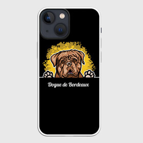 Чехол для iPhone 13 mini с принтом Бордоский Дог (Dogue de bordeaux) в Санкт-Петербурге,  |  | animal | dog | dogue de bordeaux | dogue de bordeaux mastiff | french mastiff | бордоский дог | год собаки | друг человека | животное | кинолог | пёс | порода собак | собака бордоский мастиф | собаковод | французский мастиф