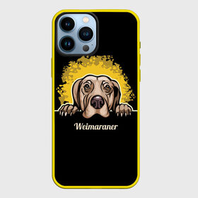 Чехол для iPhone 13 Pro Max с принтом Веймаранер (Weimaraner) в Санкт-Петербурге,  |  | animal | dog | hunting dog | weimaraner | веймаранер | веймарская овчарка | год собаки | друг человека | животное | зверь | кинолог | легавая | охотничья собака | пёс | порода собак | собака | собака веймаранер