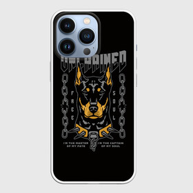 Чехол для iPhone 13 Pro с принтом Доберман Пинчер в Санкт-Петербурге,  |  | animal | doberman | dog | pinscher | schnauzer | год собаки | доберман | друг человека | животное | зверь | кинолог | пес | пинчер | порода собак | собака доберман | собаковод | хищник | четвероногий | шнауцер