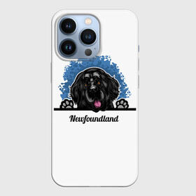 Чехол для iPhone 13 Pro с принтом Ньюфаундленд (Newfoundland) в Санкт-Петербурге,  |  | animal | diver dog | dog | newfoundland dog | год собаки | друг человека | животное | зверь | кинолог | ньюфаундленд | пёс | порода собак | собака | собака водолаз | собака ньюфаундленд | собаковод | щенок