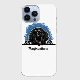 Чехол для iPhone 13 Pro Max с принтом Ньюфаундленд (Newfoundland) в Санкт-Петербурге,  |  | Тематика изображения на принте: animal | diver dog | dog | newfoundland dog | год собаки | друг человека | животное | зверь | кинолог | ньюфаундленд | пёс | порода собак | собака | собака водолаз | собака ньюфаундленд | собаковод | щенок