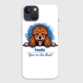 Чехол для iPhone 13 с принтом Собака Пудель (Poodle) в Санкт-Петербурге,  |  | dog | dog poodle | m | miniature poodle | poodle | poodle puppies | royal poodle | белый пудель | год собаки | друг человека | животное | зверь | карликовый пудель | кинолог | королевский пудель | мини пудель | пёс | пудель