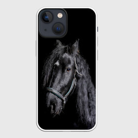 Чехол для iPhone 13 mini с принтом Лошадь на черном фоне в Санкт-Петербурге,  |  | восход | животные | закат | звери | кони | конь | коняшка | лошади | лошадка | лошадь | на восходе | на закате | пони | природа | солнце