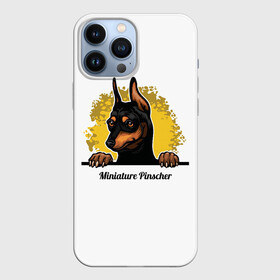 Чехол для iPhone 13 Pro Max с принтом Мини Пинчер в Санкт-Петербурге,  |  | animal | dog | german pinscher | min pi | miniature pinscher | pinscher | год собаки | друг человека | животное | зверь | кинолог | мин пин | миниатюрный пинчер | немецкий пинчер | пёс | пинчер | порода собак | собака