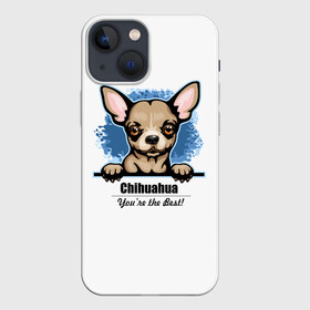 Чехол для iPhone 13 mini с принтом Собачка Чихуахуа в Санкт-Петербурге,  |  | animal | chihuahua | dog | год собаки | друг человека | животное | зверь | карликовая собачка | карманная собачка | кинолог | маленькая собака | пёс | пёсик | собака чихуахуа | собаковод | четвероногий