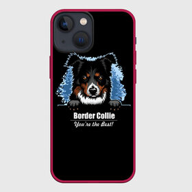 Чехол для iPhone 13 mini с принтом Бордер Колли (Border Collie) в Санкт-Петербурге,  |  | animal | border collie | dog | бордер колли | год собаки | друг человека | животное | зверь | ищейка | кинолог | кость | овчарка | пастушья собака | пёс | порода собак | собака бордер колли | собаковод