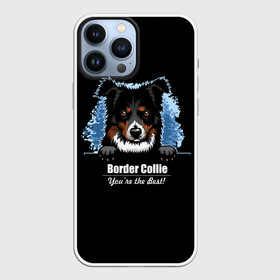 Чехол для iPhone 13 Pro Max с принтом Бордер Колли (Border Collie) в Санкт-Петербурге,  |  | Тематика изображения на принте: animal | border collie | dog | бордер колли | год собаки | друг человека | животное | зверь | ищейка | кинолог | кость | овчарка | пастушья собака | пёс | порода собак | собака бордер колли | собаковод