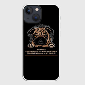 Чехол для iPhone 13 mini с принтом Собака Мопс в Санкт-Петербурге,  |  | bulldog | pug | pug dog | pug puppies | бульдог | год собаки | друг человека | дружные мопсы | дядя мопс | животное | зверь | кинолог | мопс | пёс | порода собак | собака боксёр | собака мопс | собаковод | четвероногий