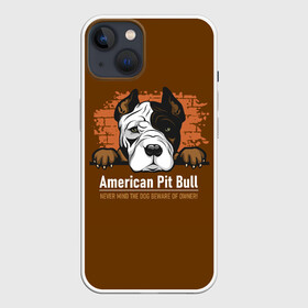 Чехол для iPhone 13 с принтом Американский Питбультерьер (Pit Bull Terrier) в Санкт-Петербурге,  |  | Тематика изображения на принте: american pit bull terrier | boxer | bulldog | fighting dog | pit bull | американский питбультерьер | бойцовская собака | бойцовский пес | боксер | бульдог | волкодав | друг человека | кинолог | пес | питбуль | питбультерьер