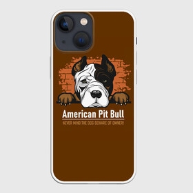 Чехол для iPhone 13 mini с принтом Американский Питбультерьер (Pit Bull Terrier) в Санкт-Петербурге,  |  | american pit bull terrier | boxer | bulldog | fighting dog | pit bull | американский питбультерьер | бойцовская собака | бойцовский пес | боксер | бульдог | волкодав | друг человека | кинолог | пес | питбуль | питбультерьер