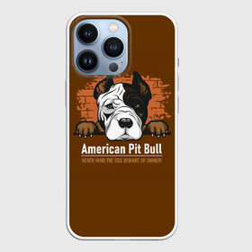 Чехол для iPhone 13 Pro с принтом Американский Питбультерьер (Pit Bull Terrier) в Санкт-Петербурге,  |  | american pit bull terrier | boxer | bulldog | fighting dog | pit bull | американский питбультерьер | бойцовская собака | бойцовский пес | боксер | бульдог | волкодав | друг человека | кинолог | пес | питбуль | питбультерьер