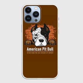 Чехол для iPhone 13 Pro Max с принтом Американский Питбультерьер (Pit Bull Terrier) в Санкт-Петербурге,  |  | american pit bull terrier | boxer | bulldog | fighting dog | pit bull | американский питбультерьер | бойцовская собака | бойцовский пес | боксер | бульдог | волкодав | друг человека | кинолог | пес | питбуль | питбультерьер
