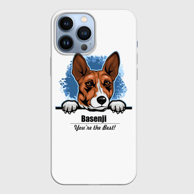 Чехол для iPhone 13 Pro Max с принтом Собака Басенджи в Санкт-Петербурге,  |  | african dog | animal | basenji | congo terrier | dog | африканская собака | басенджи | год собаки | друг человека | животное | зверь | кинолог | конго терьер | пёс | собака басенджи | собаковод | четвероногий