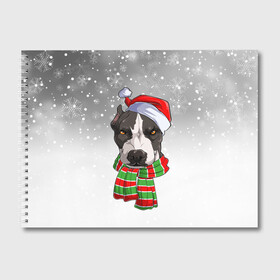 Альбом для рисования с принтом Новогодний Питбуль   New Years Pit bull в Санкт-Петербурге, 100% бумага
 | матовая бумага, плотность 200 мг. | Тематика изображения на принте: christmas | dog | pit bull | santa | дед мороз | зима | новый год | питбуль | рождество | санта | снег | снежинка | собака | собачка | щенок