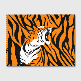 Альбом для рисования с принтом Тигровый окрас в Санкт-Петербурге, 100% бумага
 | матовая бумага, плотность 200 мг. | 2022 | aggressive | brindle color | fangs | in profile | new year | open mouth | predator | tiger | year of the tiger | агрессивный | в профиль | год тигра | клыки | новый год | открытая пасть | тигр | тигровый окрас | хищник