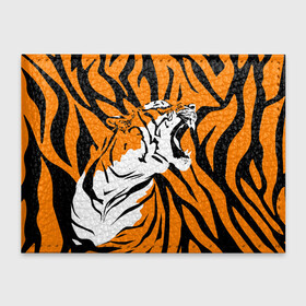 Обложка для студенческого билета с принтом Тигровый окрас в Санкт-Петербурге, натуральная кожа | Размер: 11*8 см; Печать на всей внешней стороне | 2022 | aggressive | brindle color | fangs | in profile | new year | open mouth | predator | tiger | year of the tiger | агрессивный | в профиль | год тигра | клыки | новый год | открытая пасть | тигр | тигровый окрас | хищник