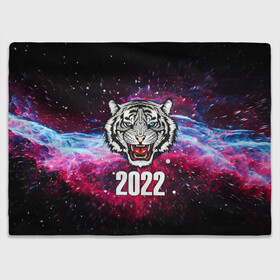 Плед 3D с принтом ЧЁРНЫЙ ТИГР НОВЫЙ ГОД 2022   GRAY TIGER NEW YEAR в Санкт-Петербурге, 100% полиэстер | закругленные углы, все края обработаны. Ткань не мнется и не растягивается | 2022 | beast | merry christmas | new year | red bow | santa hat | snow | tiger | winter | winter is coming | year of the tiger | год тигра | дед мороз | животные | звери | зверь | зима | зима 2022 | зима близко | новог | новогодни