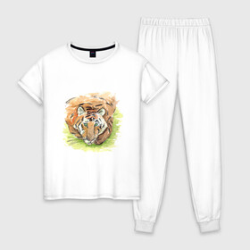 Женская пижама хлопок с принтом Портрет тигра с зелёными глазами в Санкт-Петербурге, 100% хлопок | брюки и футболка прямого кроя, без карманов, на брюках мягкая резинка на поясе и по низу штанин | 2022 | глаза | животное | зверь | китайский календарь | кошка | новый год | оранжевый | полоски | символ года | тигр | хищник