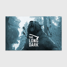 Бумага для упаковки 3D с принтом The Long Dark (медведь) в Санкт-Петербурге, пластик и полированная сталь | круглая форма, металлическое крепление в виде кольца | Тематика изображения на принте: the long dark | выживание | выживший | долгая тьма | зима | игры | лес | медведь | топор