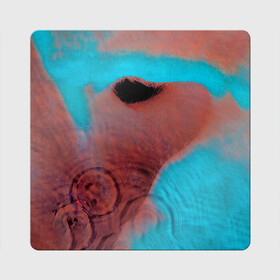 Магнит виниловый Квадрат с принтом Meddle   Pink Floyd в Санкт-Петербурге, полимерный материал с магнитным слоем | размер 9*9 см, закругленные углы | Тематика изображения на принте: pink floyd | pinkfloyd | альбом | арт | артрок | дэвид гилмор | пинк флойд | пинкфлойд | прогрессивный | психоделический | ричард райт | роджер уотерс | рок группа | сид барретт | симфонический | спэйс | эйсид