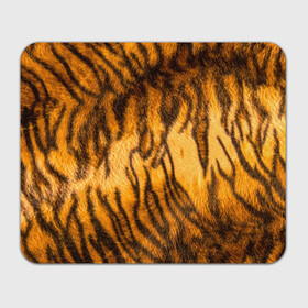 Прямоугольный коврик для мышки с принтом Шкура тигра 2022 в Санкт-Петербурге, натуральный каучук | размер 230 х 185 мм; запечатка лицевой стороны | 2022 | год тигра | новый год | новый год 2022 | символ года | тигр | тигренок | тигрица | тигры