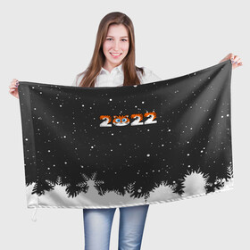 Флаг 3D с принтом Новый год 2022 - надпись 2022 в Санкт-Петербурге, 100% полиэстер | плотность ткани — 95 г/м2, размер — 67 х 109 см. Принт наносится с одной стороны | 2022 | год тигра | новый год | новый год 2022 | символ года | тигр | тигренок | тигрица | тигры