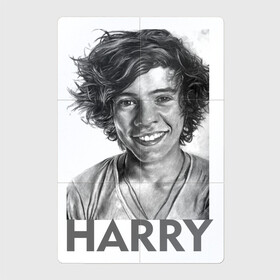 Магнитный плакат 2Х3 с принтом Harry  Styles в Санкт-Петербурге, Полимерный материал с магнитным слоем | 6 деталей размером 9*9 см | harry edward styles | британец | бритпопо | гарри стайлс | дирекшин | дирекшины