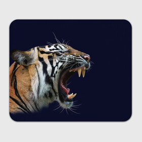 Прямоугольный коврик для мышки с принтом Оскал тигра | Большая кошка в Санкт-Петербурге, натуральный каучук | размер 230 х 185 мм; запечатка лицевой стороны | 2022 | big teeth | fangs | grin | tiger | tigr | tigris | большая кошка | большие зубы | клыки | новый год | оскалиться | острые клыки | полосатая кошка | скалить | скалить зубы | тигр