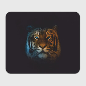 Прямоугольный коврик для мышки с принтом Тигр с голубыми глазами в Санкт-Петербурге, натуральный каучук | размер 230 х 185 мм; запечатка лицевой стороны | Тематика изображения на принте: tiger | животное | символ года | тигр | хищник