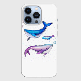 Чехол для iPhone 13 Pro с принтом Семья китов в Санкт-Петербурге,  |  | китенок | киты | малыш | мама | море | папа | под водой | семья | трое