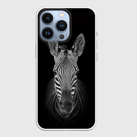 Чехол для iPhone 13 Pro с принтом Зебра zebra в Санкт-Петербурге,  |  | дикие животные | зебра | лошадка | лошадь