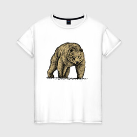 Женская футболка хлопок с принтом Русский бурый медведь в Санкт-Петербурге, 100% хлопок | прямой крой, круглый вырез горловины, длина до линии бедер, слегка спущенное плечо | bear | courage | fearlessness | force | muzzle | paws | power | russia | бесстрашие | лапы | медведь | мощь | мужество | отвага | россия | сила