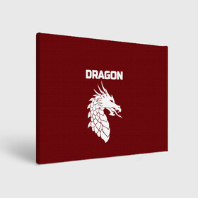 Холст прямоугольный с принтом WHITE_DRAGON в Санкт-Петербурге, 100% ПВХ |  | dragon | white | white dragon | белый | белый дракон | дракон | дракон вектор