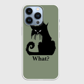 Чехол для iPhone 13 Pro с принтом What Что в Санкт-Петербурге,  |  | black cat | cat | fearsome | halloween | question | silhouette | stern look | what | вопрос | кошка | силуэт | суровый взгляд | хеллоуин | черный кот | что