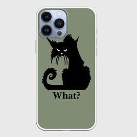 Чехол для iPhone 13 Pro Max с принтом What Что в Санкт-Петербурге,  |  | black cat | cat | fearsome | halloween | question | silhouette | stern look | what | вопрос | кошка | силуэт | суровый взгляд | хеллоуин | черный кот | что