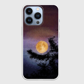 Чехол для iPhone 13 Pro с принтом night sky with full moon by Apkx в Санкт-Петербурге,  |  | apkx | fullmoon | moon | night | sky | картина | луна | небо | ночь | полнолуние