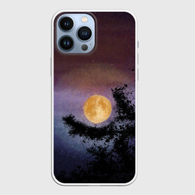 Чехол для iPhone 13 Pro Max с принтом night sky with full moon by Apkx в Санкт-Петербурге,  |  | apkx | fullmoon | moon | night | sky | картина | луна | небо | ночь | полнолуние