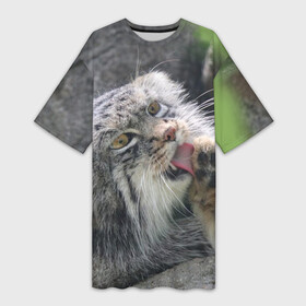 Платье-футболка 3D с принтом Манул  Лапка в Санкт-Петербурге,  |  | cat | cats | всеядный | детеныш | дикие | звери | зверята | кот | котик | лапка | манул | медведь | милый | природа | хищник