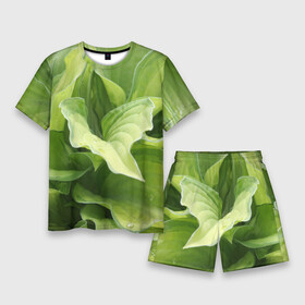 Мужской костюм с шортами 3D с принтом Зеленые листья после дождя в Санкт-Петербурге,  |  | абстракция | вода | дача | дождь | зеленая | зеленый | изгиб | камуфляж | капля | лето | лист | листок | листья | маскировка | природа | растение | участок | фазенда | цветовод | цветоводство
