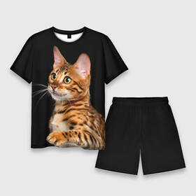 Мужской костюм с шортами 3D с принтом Бенгальский котёнок на чёрном фоне в Санкт-Петербурге,  |  | bengal | cat | cats | kitty | бенгал | бенгальская | бенгальская кошка | бенгальские | бенгальский | кот | котёнок | котята | кошка | леопард | леопардовая | леопардовый
